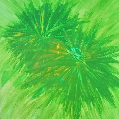 vfirework_005